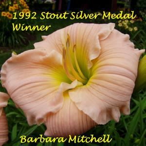 Barbara Mitchell - 1992 Stout Silver Medal Winner