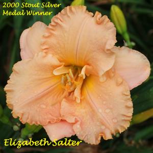 Elizabeth Salter*- 2000 Stout Silver Medal Winner