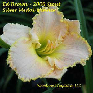 Ed Brown* - 2006 Stout Silver Medal Winner