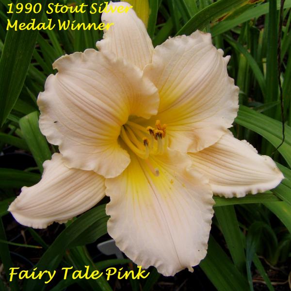 Fairy Tale Pink