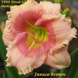 Janice Brown - 1994 Stout Silver Medal Winner
