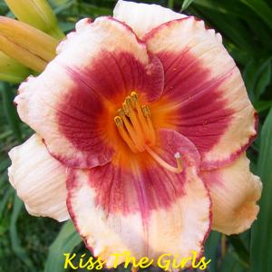 Kiss The Girls*