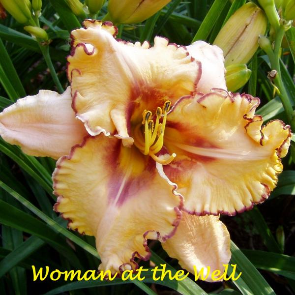 woman at the well