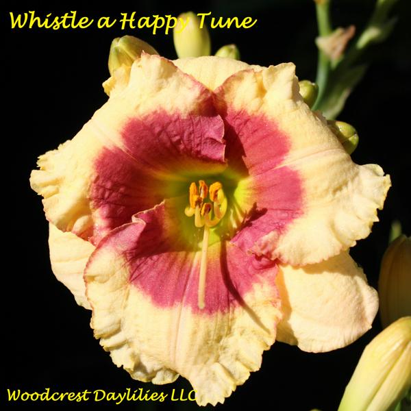 Whistle a Happy Tume