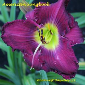 American Songbook