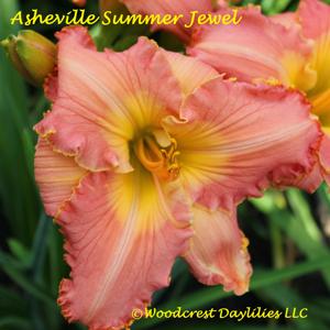 Asheville Summer Jewel*