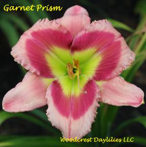 Garnet Prism*