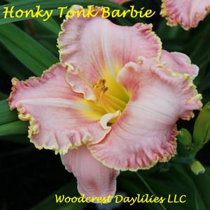 Honky Tonk Barbie*