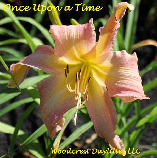 Once_Upon_A_Time
