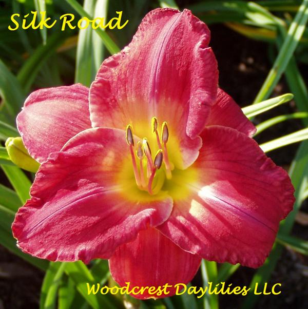 silk road