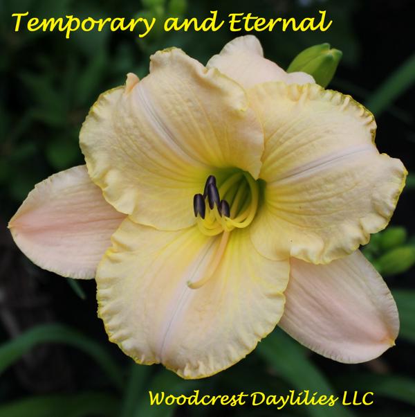 Temporary_and_Eternal