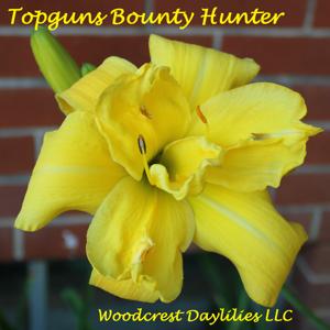 Topguns Bounty Hunter*
