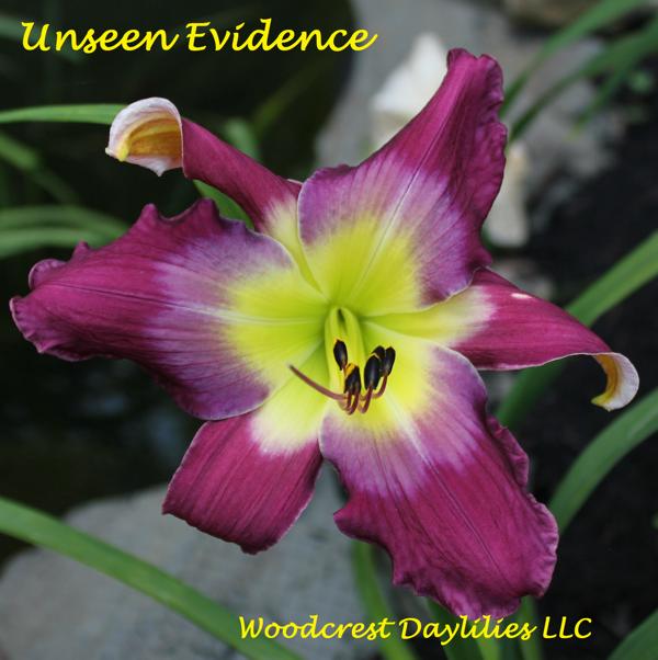 UNSEEN EVIDENCE