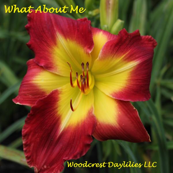 WHAT ABOUT ME
