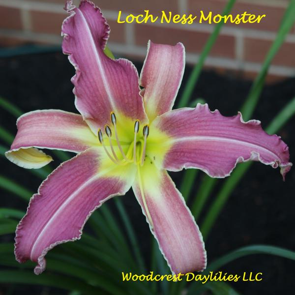 Loch_Ness_Monster