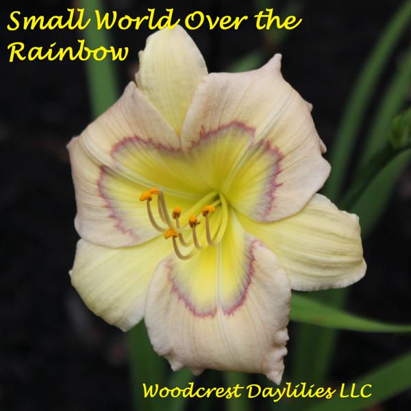 Small_World_over_the_Rainbow