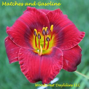 Matches and Gasoline*