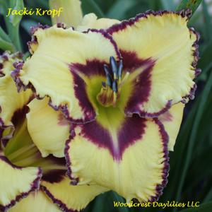 Jacki Kropf*