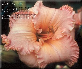 Oh_What_A_Beautiful_Morning_2005